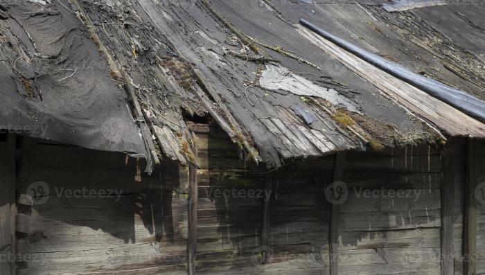 Roof and facade