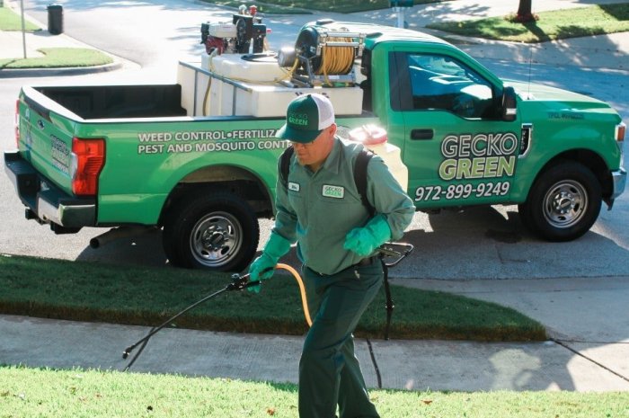 Lawn weed care service near me