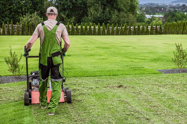 Premium Garden Maintenance Services UK: Professional Garden Care for 2025