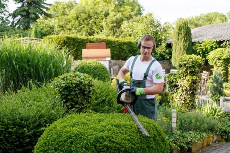 Best Landscaping Companies Canada: Transforming Outdoor Living