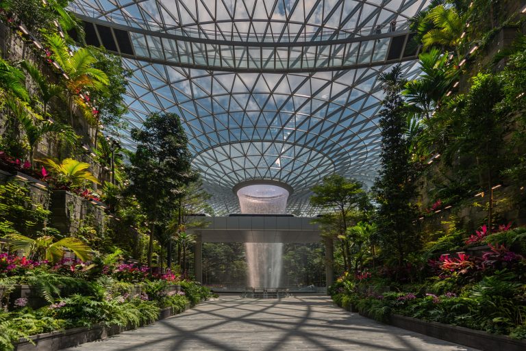 Vertical Garden Design Germany – Transforming Walls into Living Green Spaces